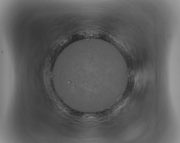 X0000112790913200908211110