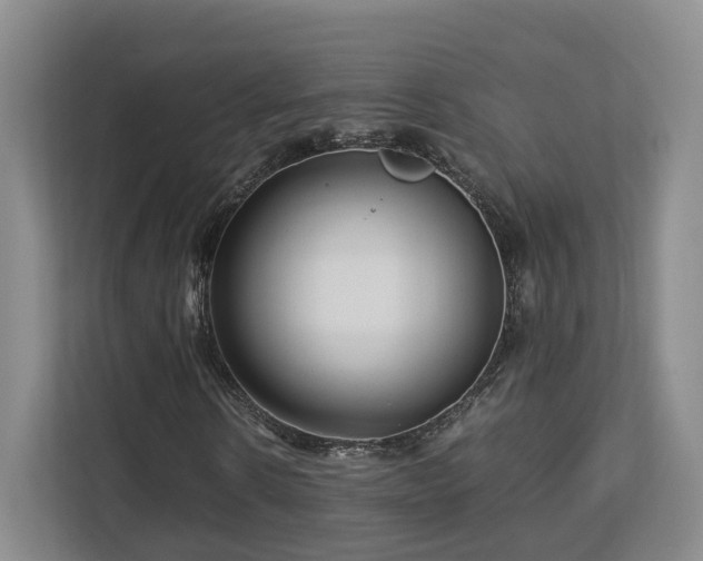 X0000112790914200908211110