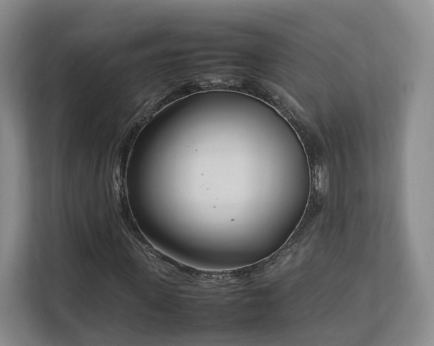X0000112790915200908211110