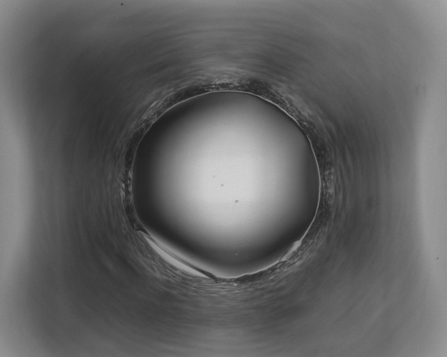X0000112790916200908211110