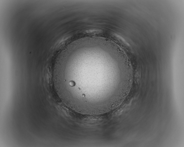 X0000112790917200908211110