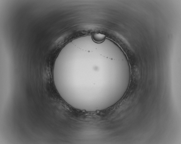 X0000112790918200908211110