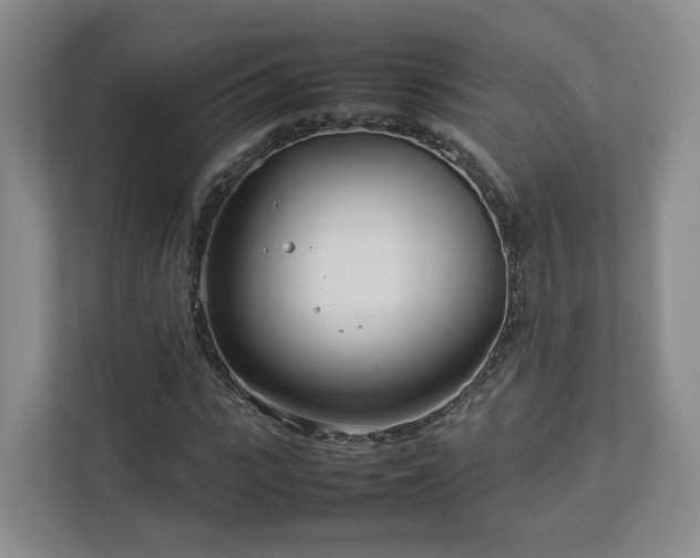 X0000112790919200908211110