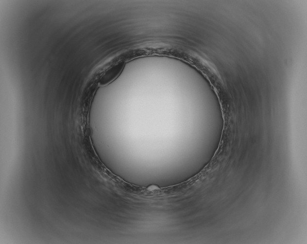 X0000112790920200908211110