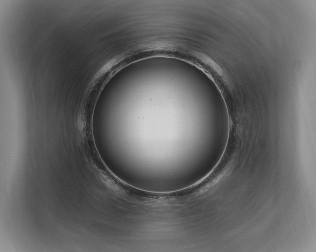 X0000112790922200908211110