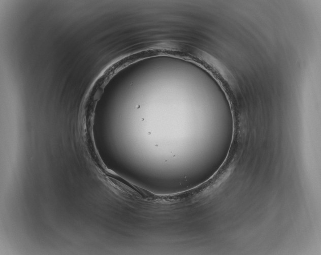X0000112790923200908211110