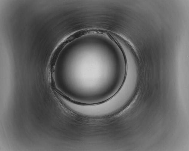 X0000112790925200908211110