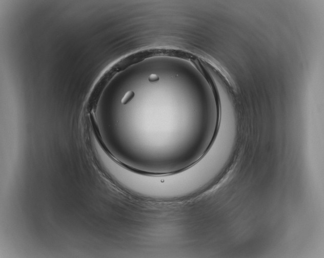 X0000112790926200908211110