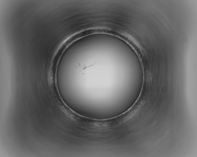 X0000112790927200908211110