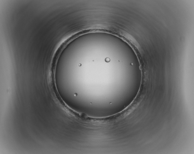 X0000112790928200908211110