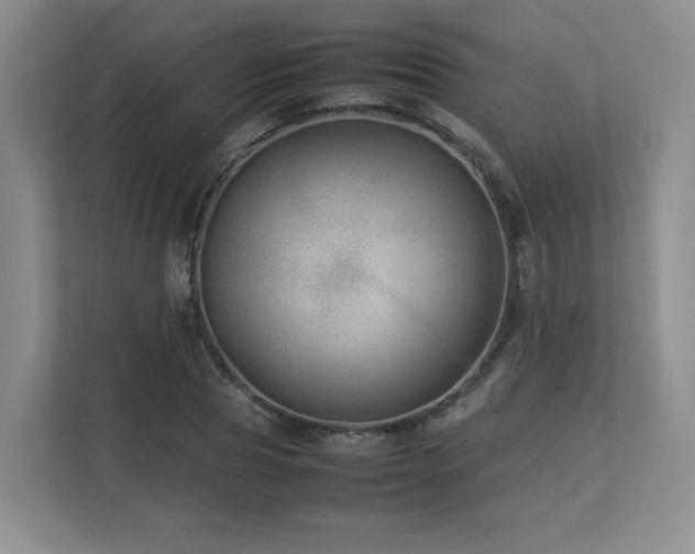 X0000112790929200908211110