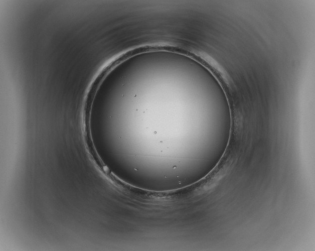 X0000112790935200908211110