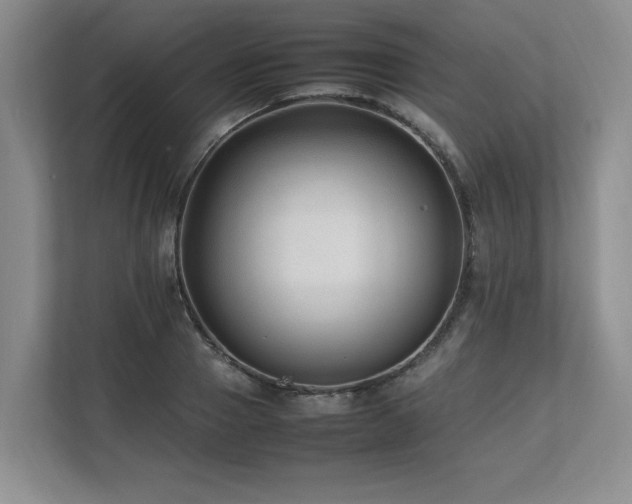 X0000112790937200908211110