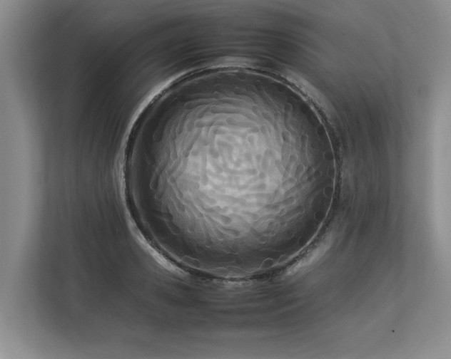 X0000112790941200908211110