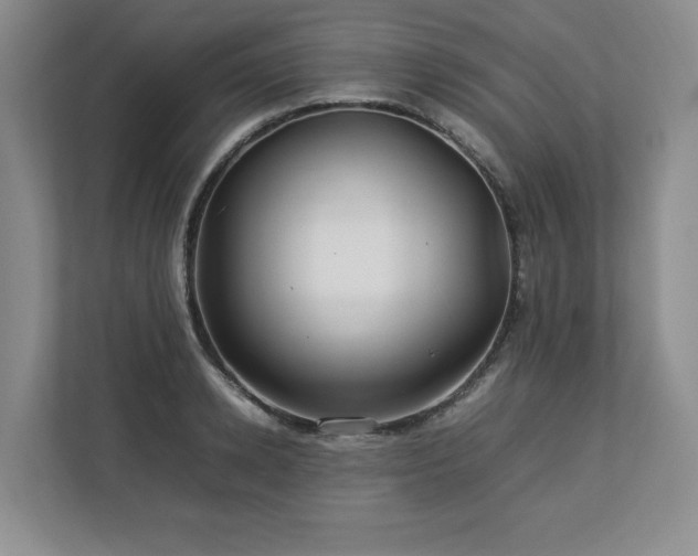 X0000112790942200908211110
