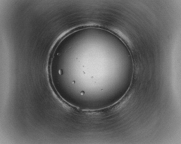 X0000112790943200908211110