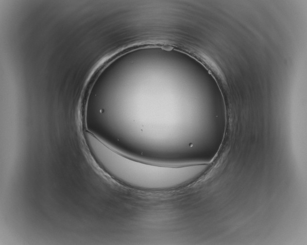 X0000112790944200908211111