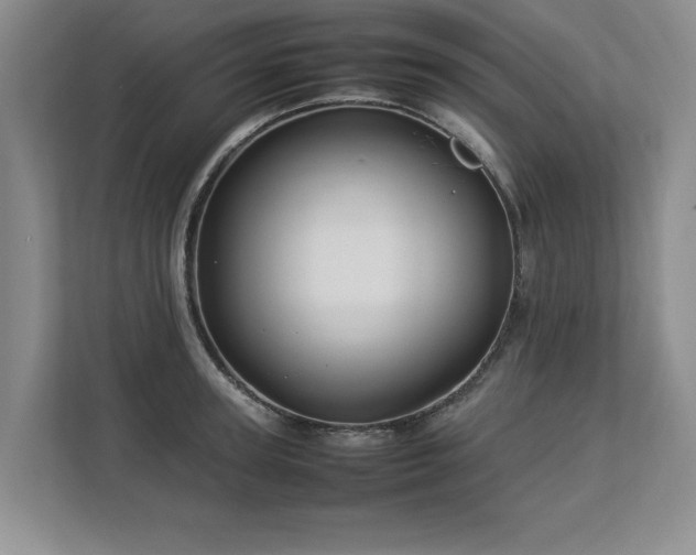 X0000112790947200908211111