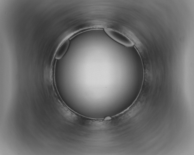 X0000112790948200908211111