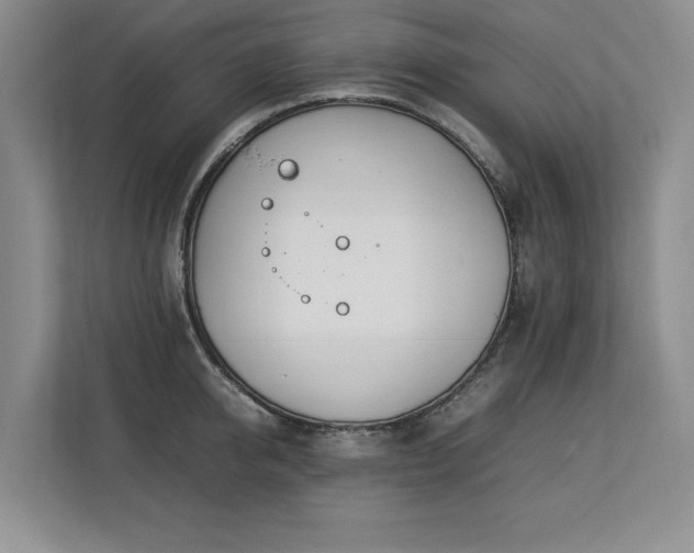 X0000112790950200908211111