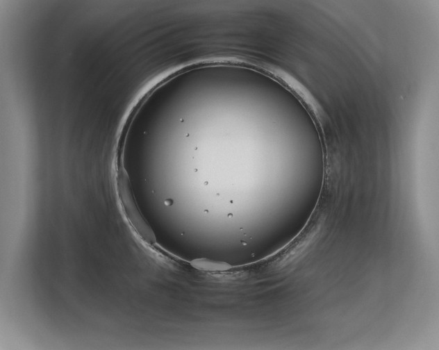 X0000112790951200908211111