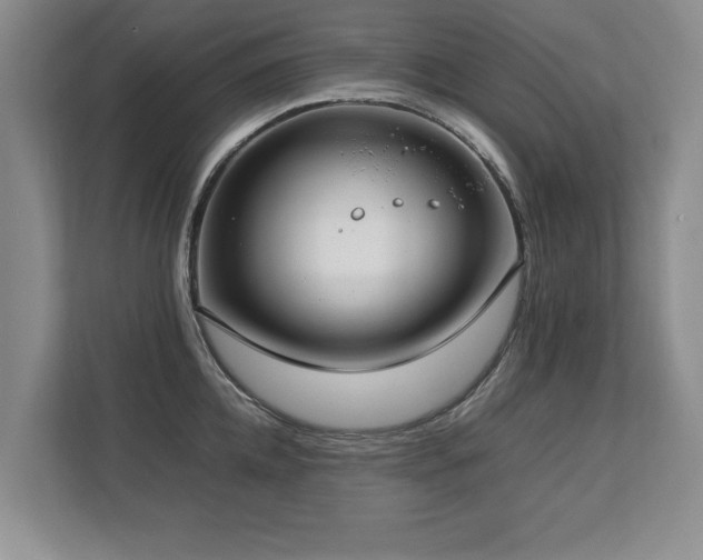 X0000112790952200908211111