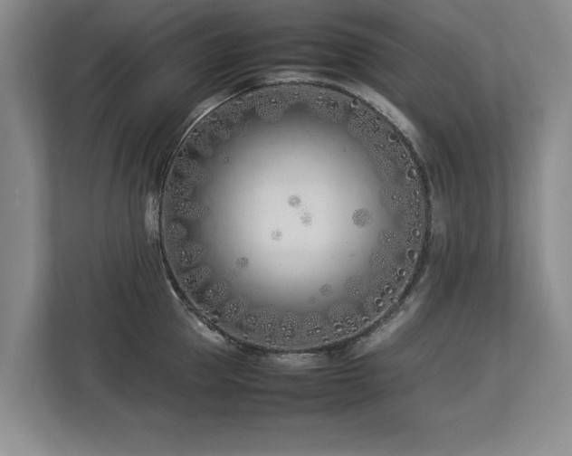 X0000112790953200908211111