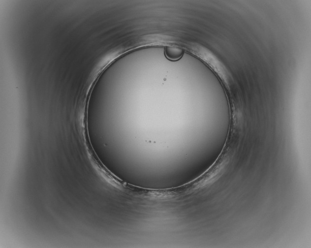 X0000112790954200908211111