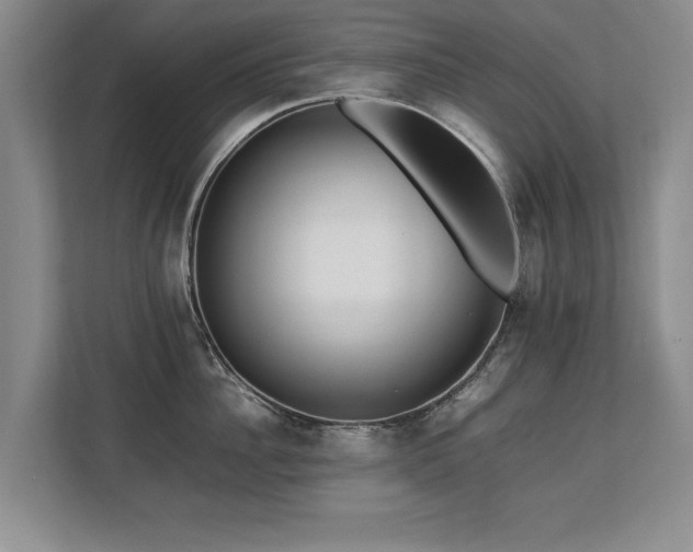 X0000112790956200908211111