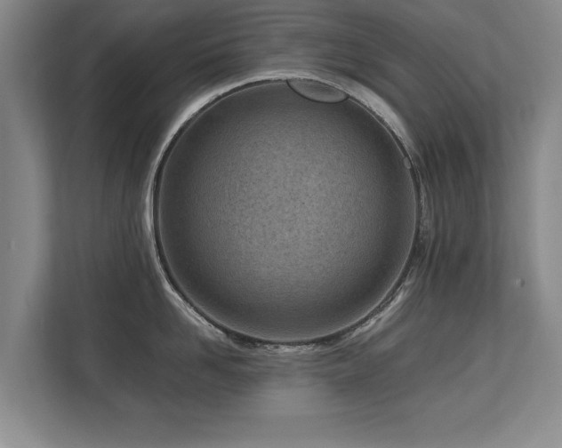 X0000112790958200908211111