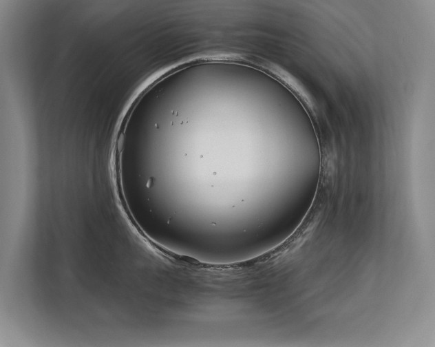 X0000112790959200908211111