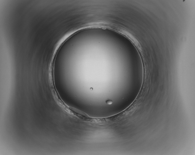 X0000112790960200908211111