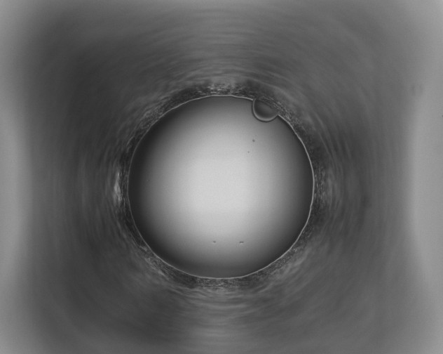 X0000112790962200908211110