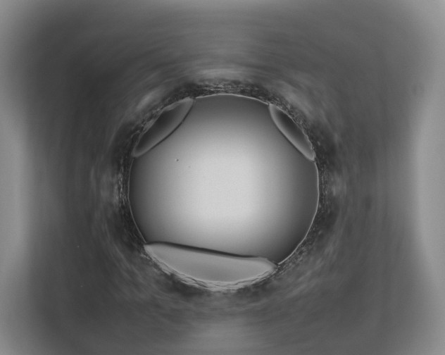 X0000112790965200908211110