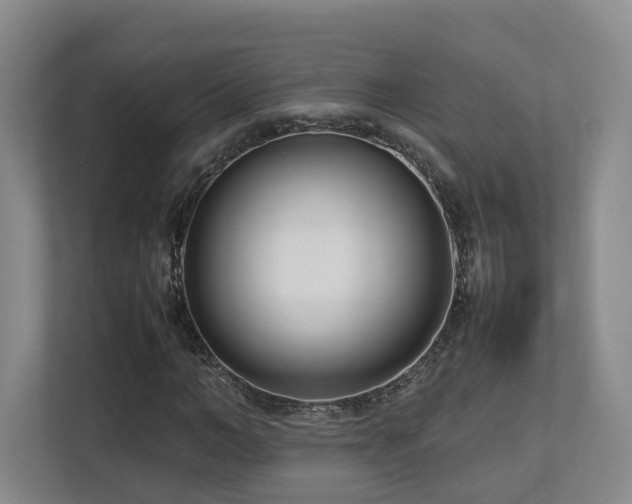 X0000112790966200908211110