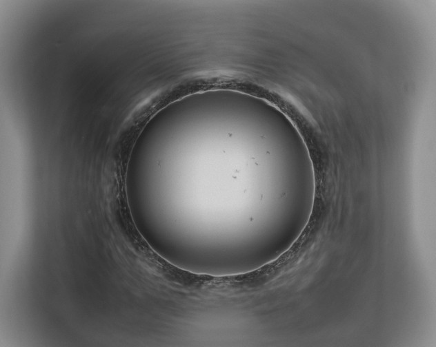 X0000112790967200908211110