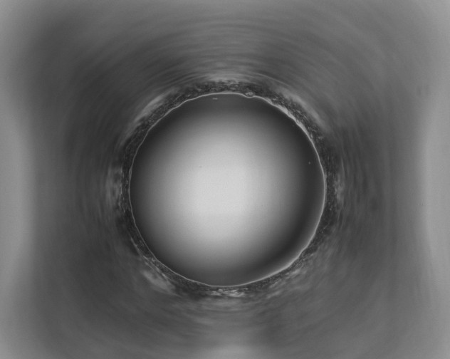 X0000112790968200908211110