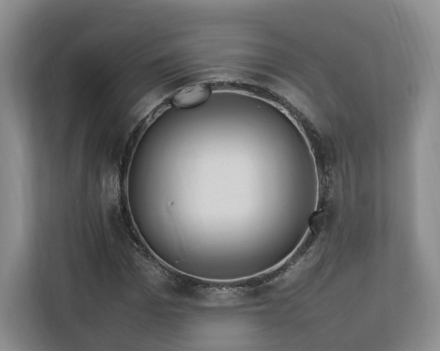 X0000112790969200908211110