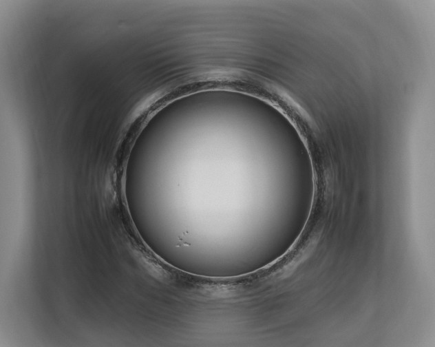 X0000112790970200908211110