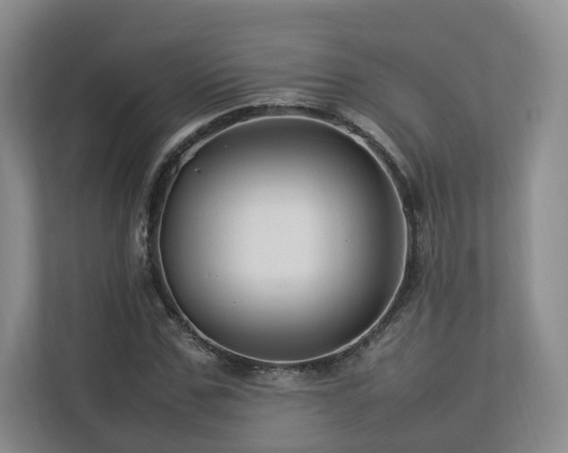 X0000112790971200908211110