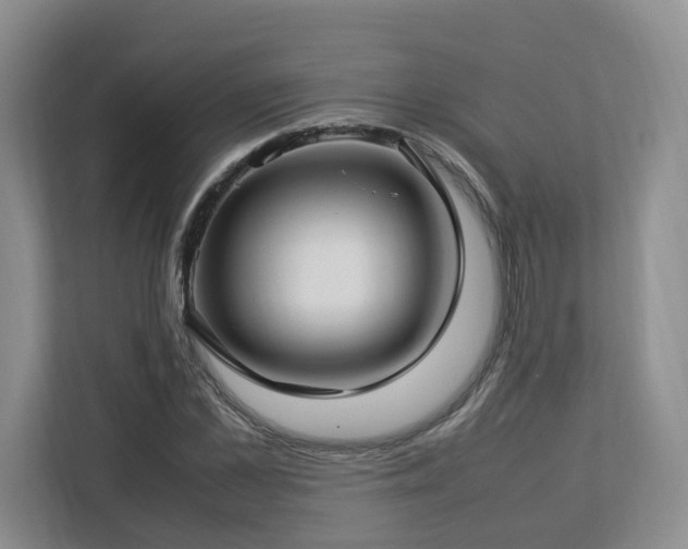 X0000112790973200908211110