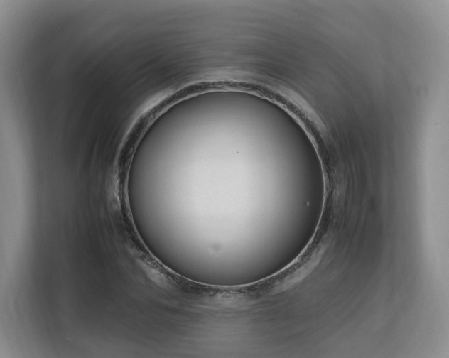 X0000112790974200908211110