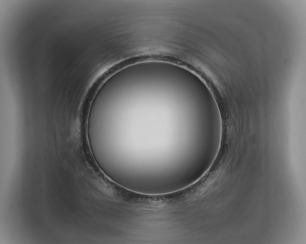 X0000112790975200908211110