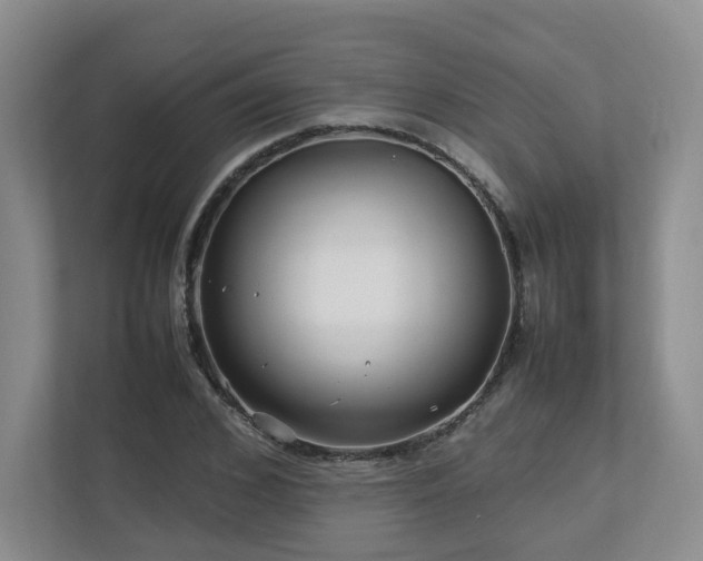 X0000112790976200908211110