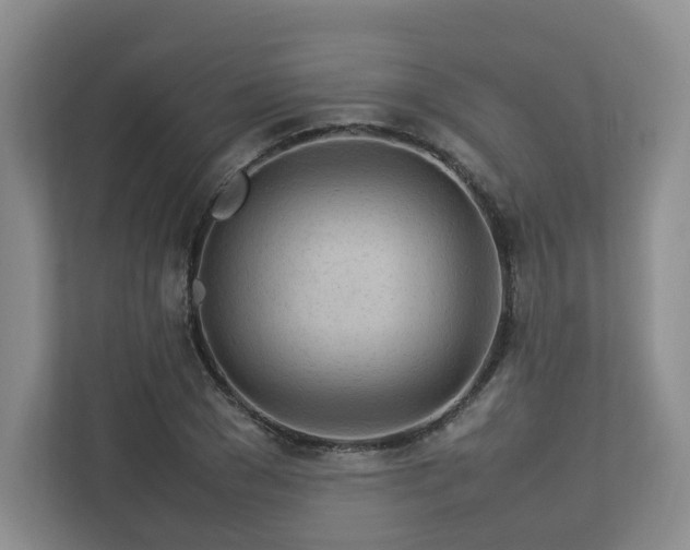 X0000112790977200908211110