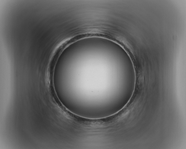 X0000112790979200908211110