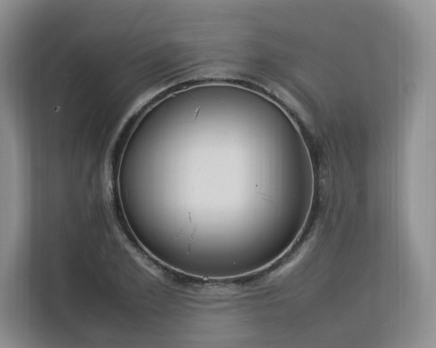 X0000112790981200908211110