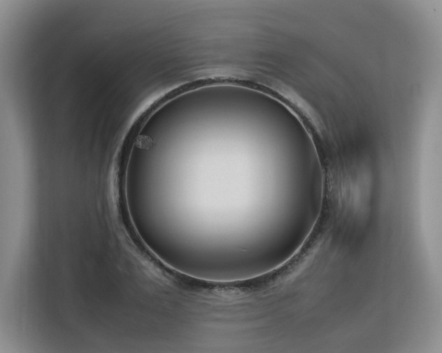 X0000112790983200908211110