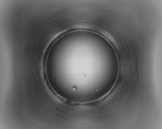 X0000112790984200908211110