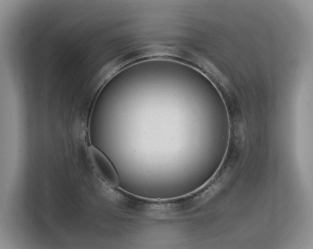X0000112790985200908211110